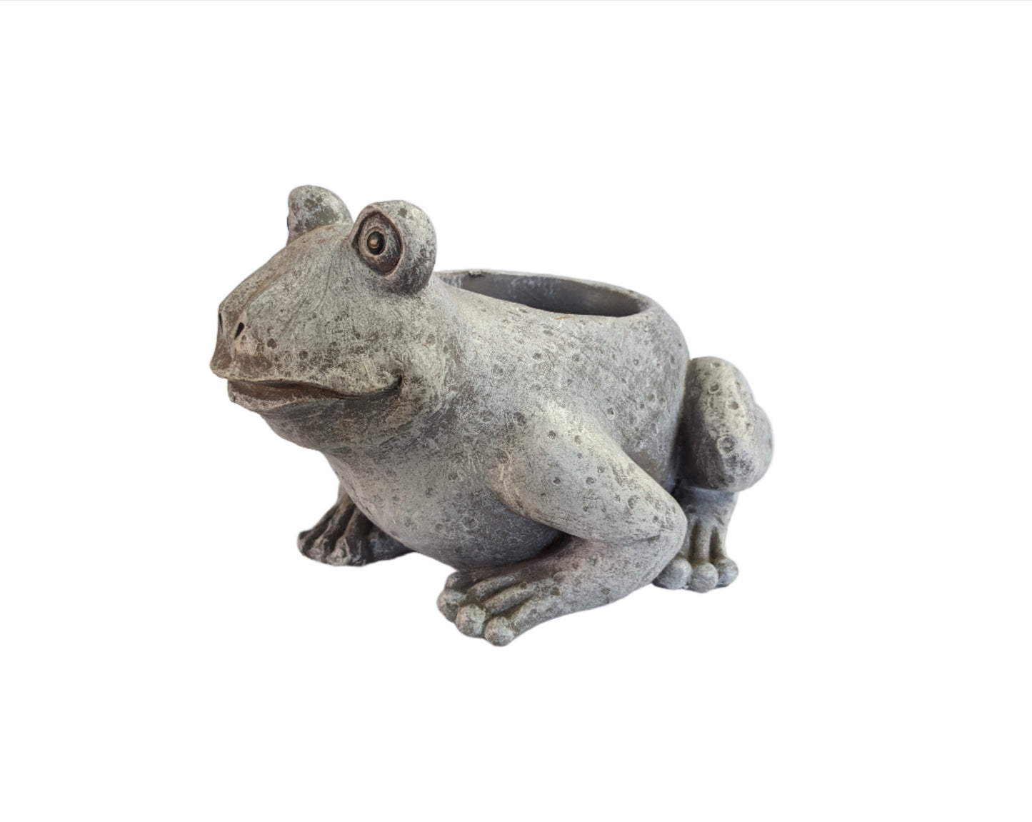 Mini Frog Pudgy Planter