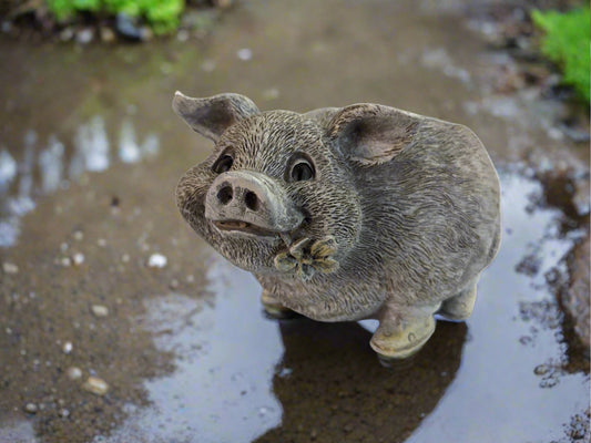 Mini Pig Pudgy Planter