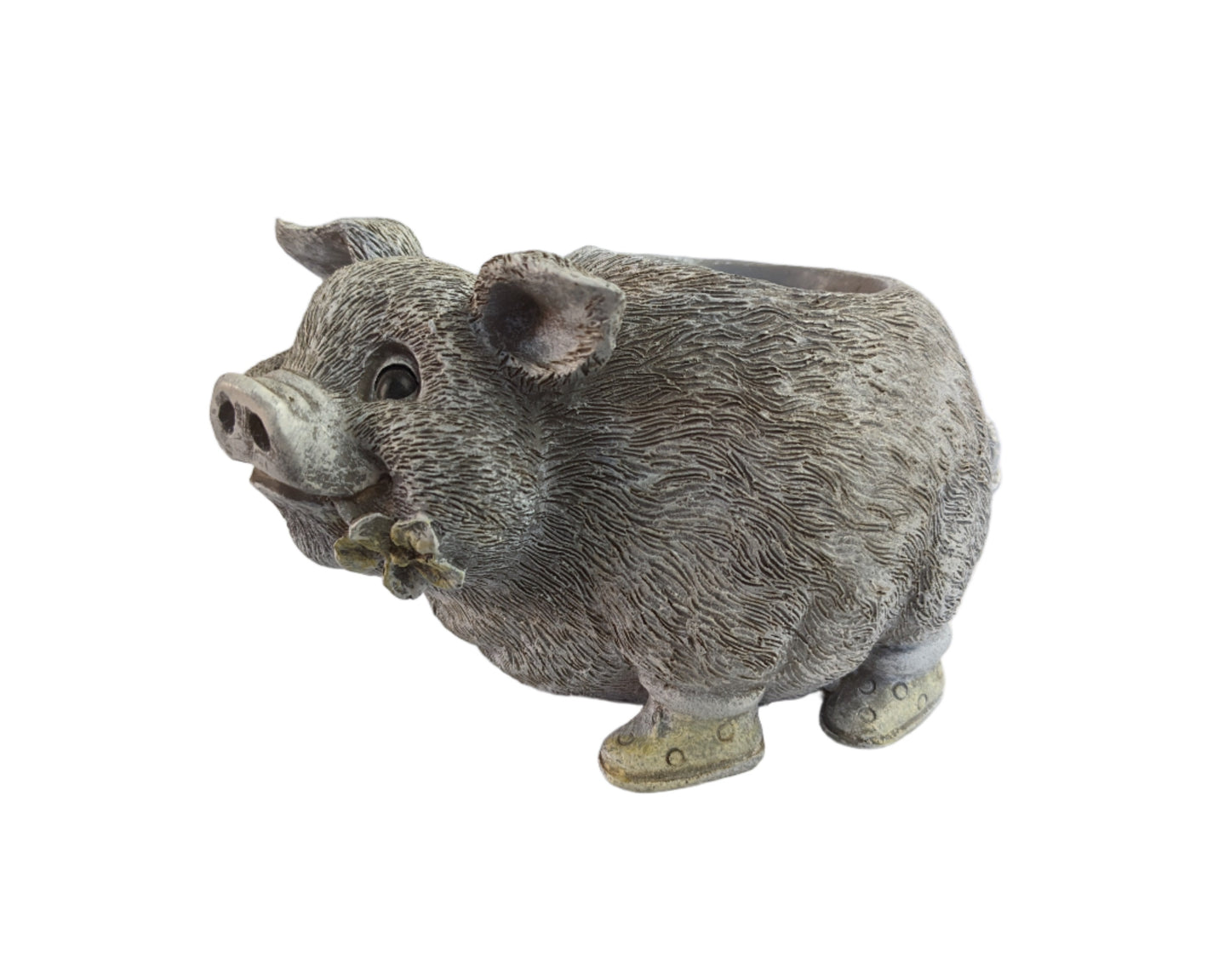 Mini Pig Pudgy Planter