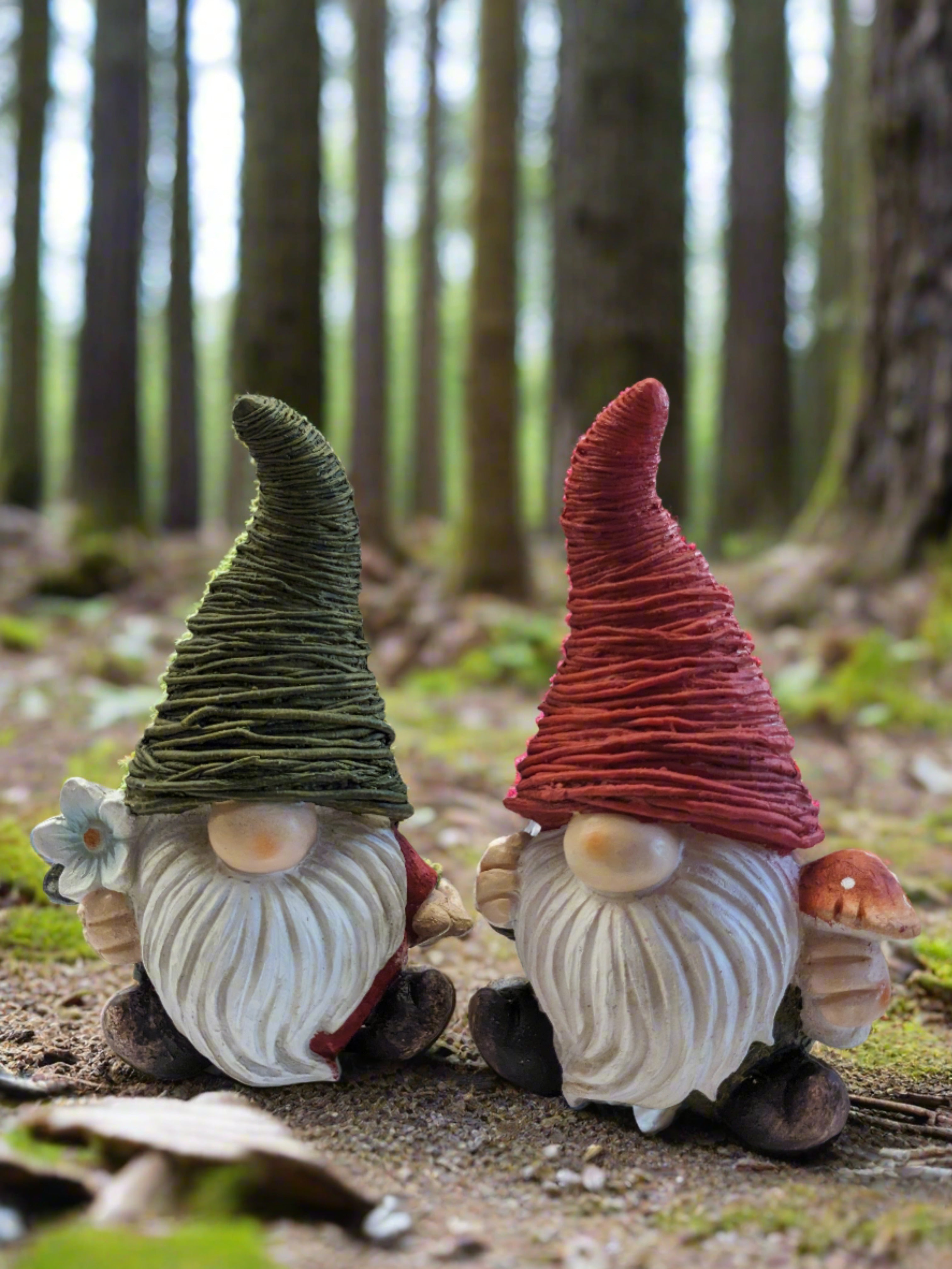 Large Gnome Assorted – Rock Gardens