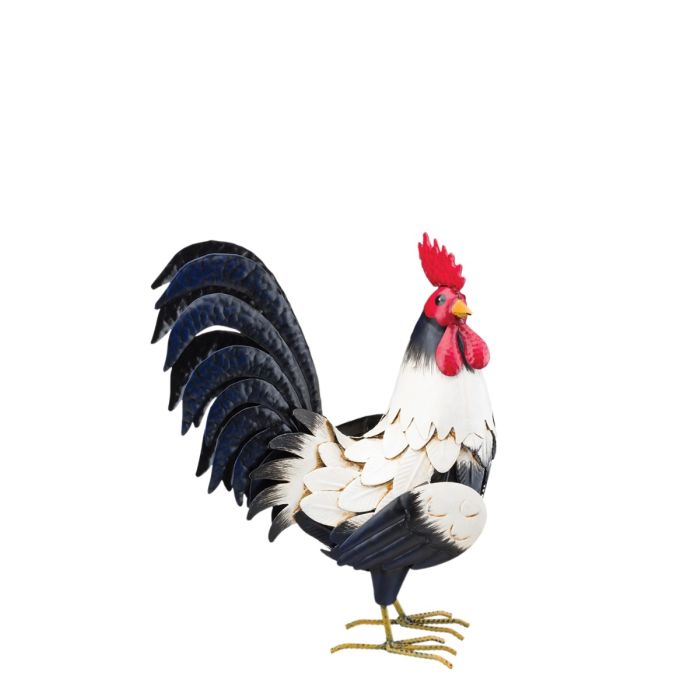 Black & White Rooster Decor 14"