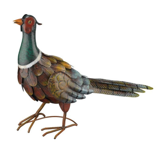 Fall Pheasant Up