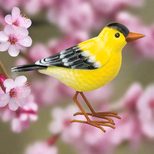 Song Bird Decor-Goldfinch