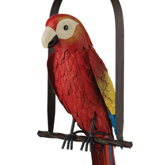 Macaw Parrot on Swing