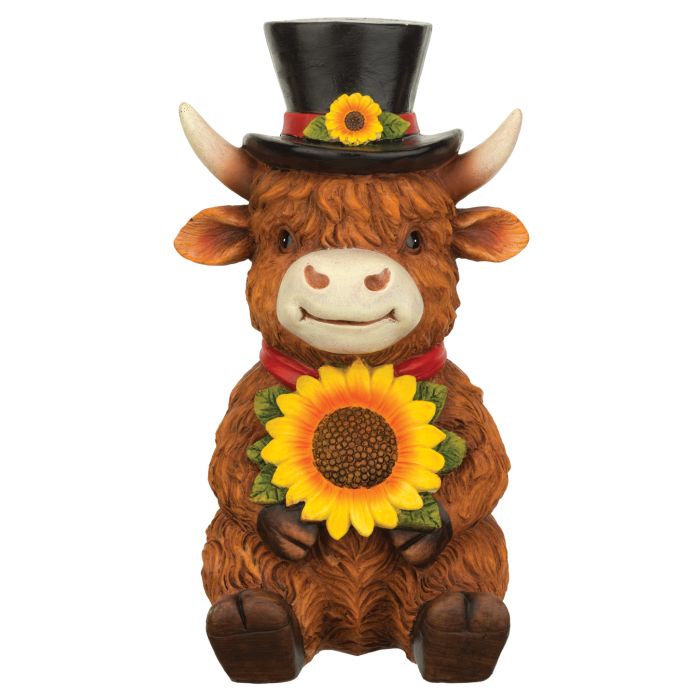 Sir Sunny Highland Cow
