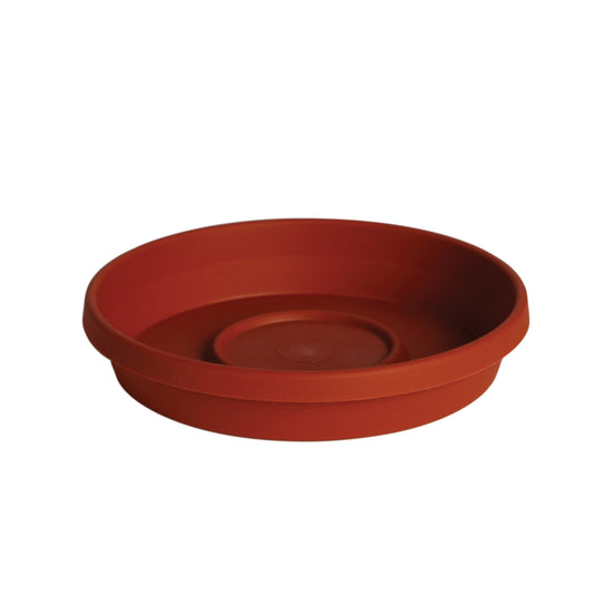 SAUCER TERRA TERRA COTTA 8IN