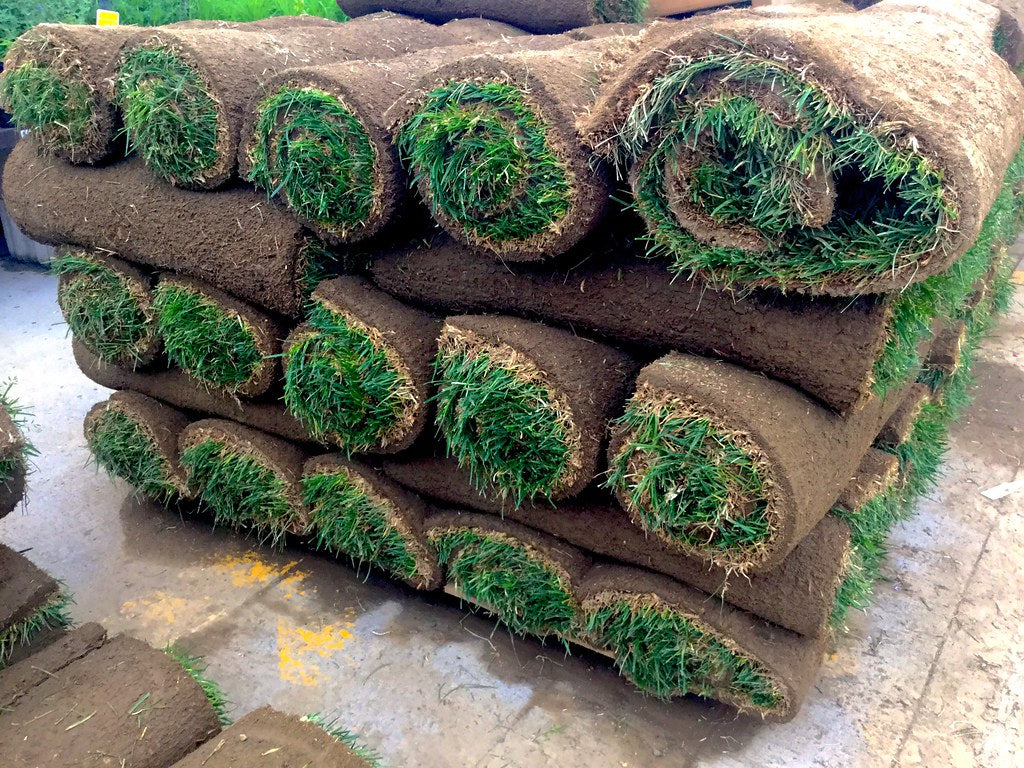 Sod Rolls-2' x 5'