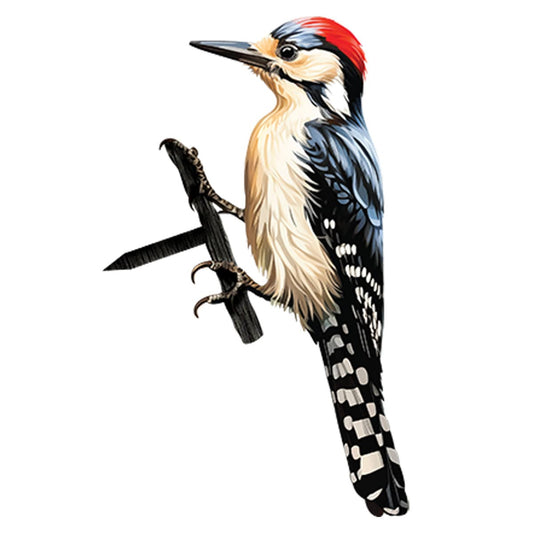 Woodpecker Tree Stake
