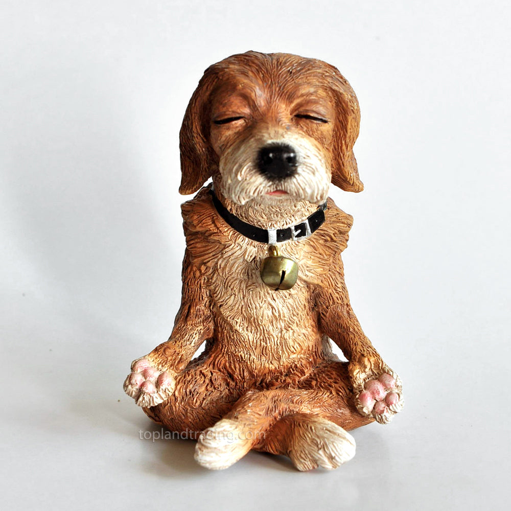 Meditating Dog