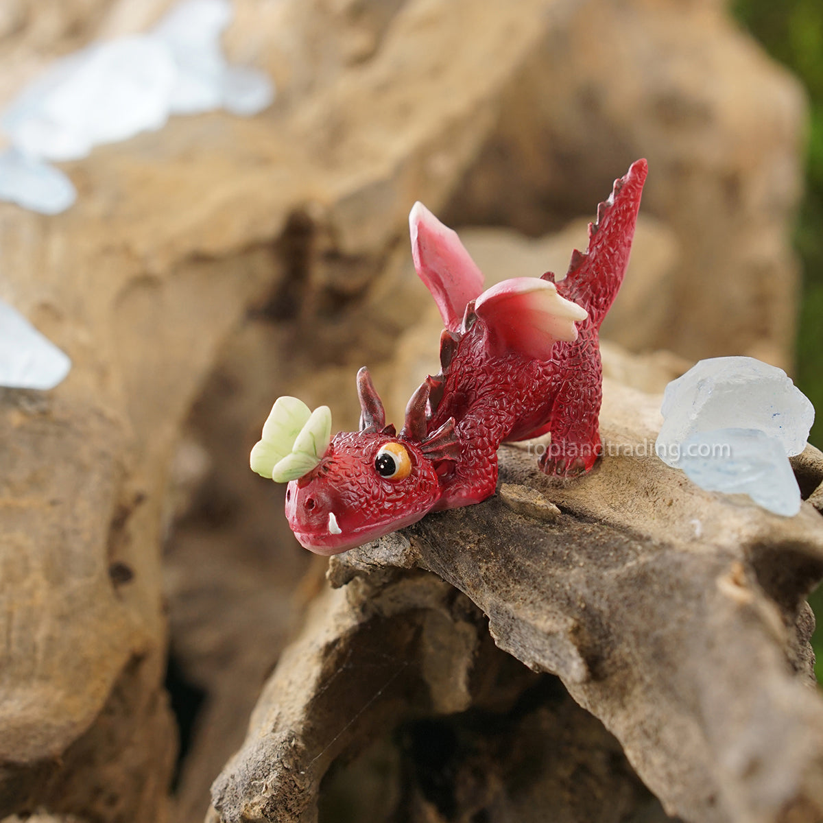 Mini Red Dragon Playing with Butterfly