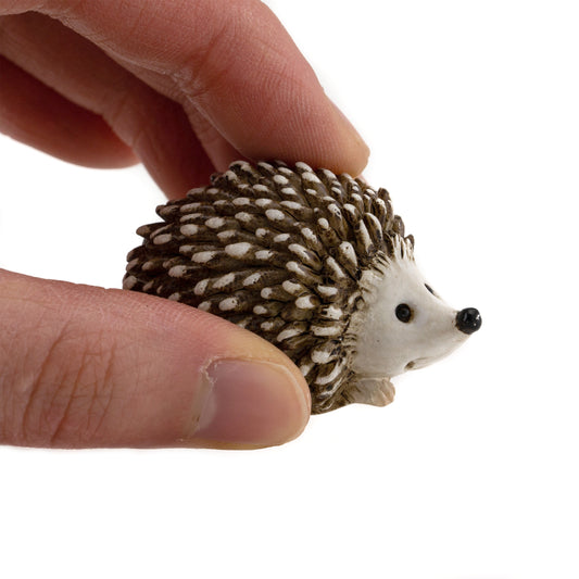 Cute Mini Hedgehog