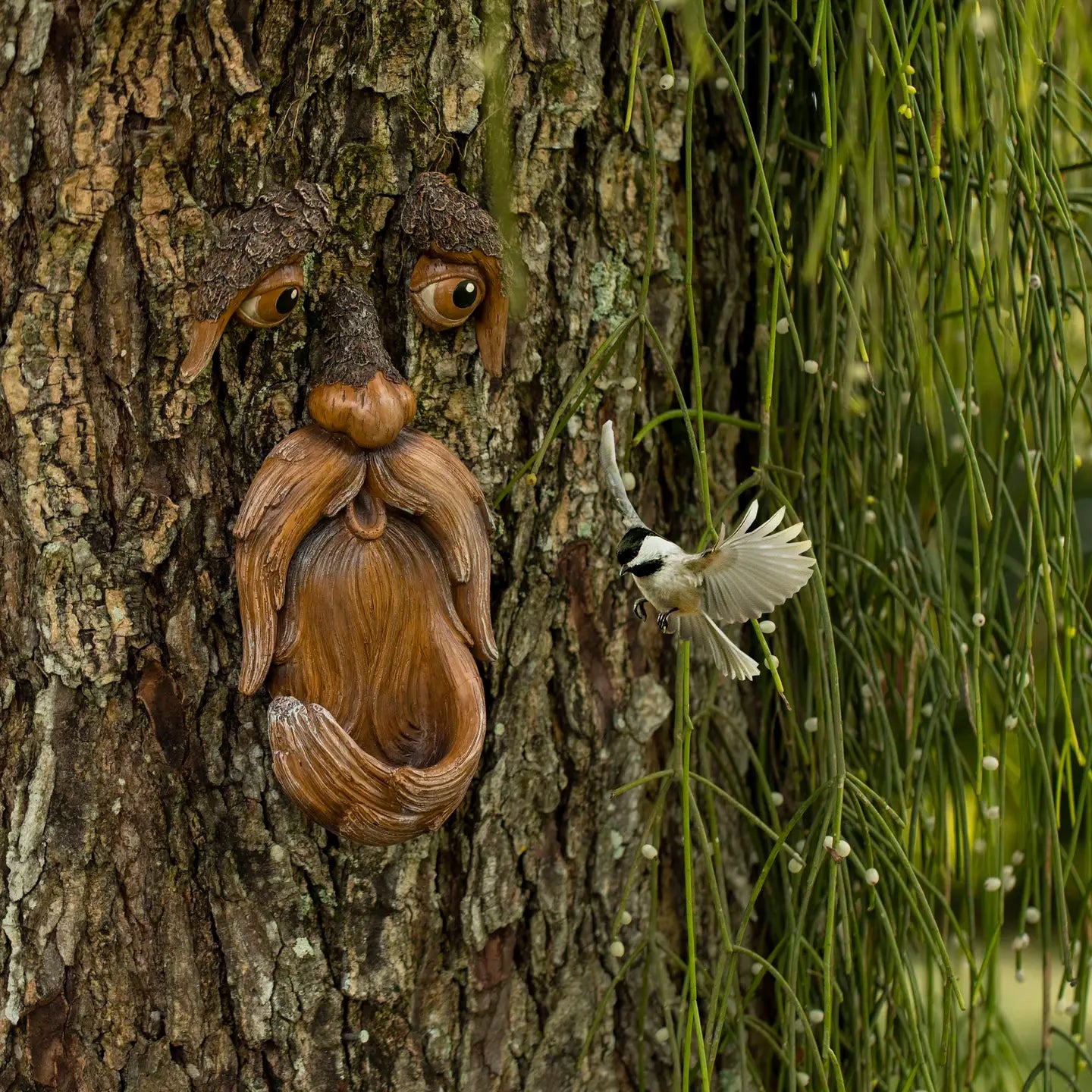 Tree Faces Decor Outdoor-Old Man