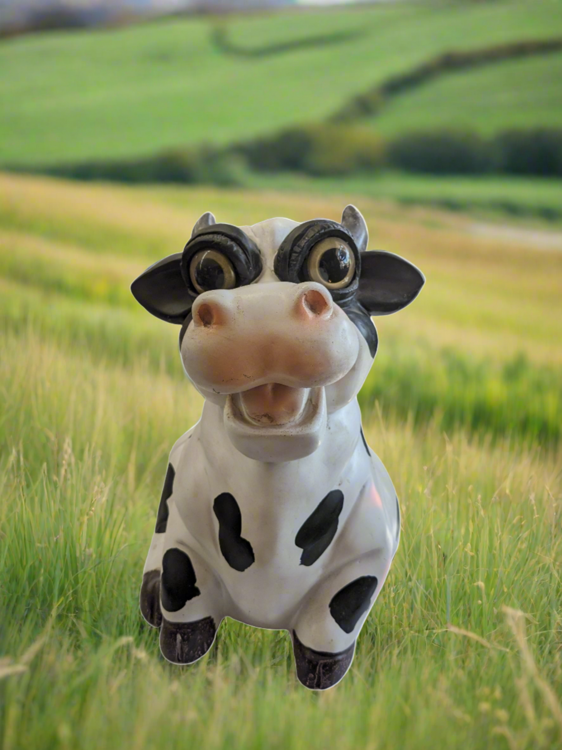 Large Cow Black Spots – Rock Gardens
