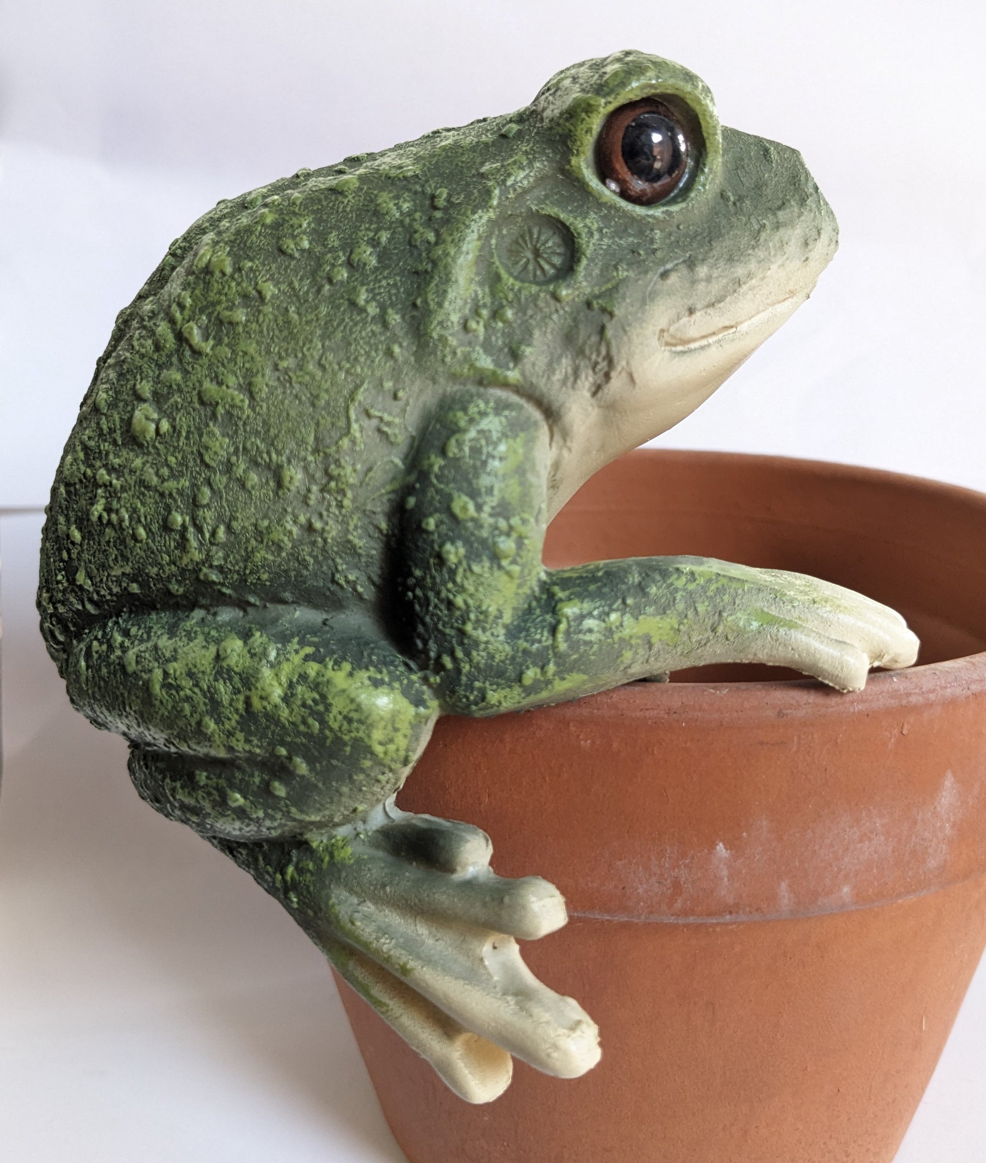 hanging frog planter Green Frog Pot Hanger