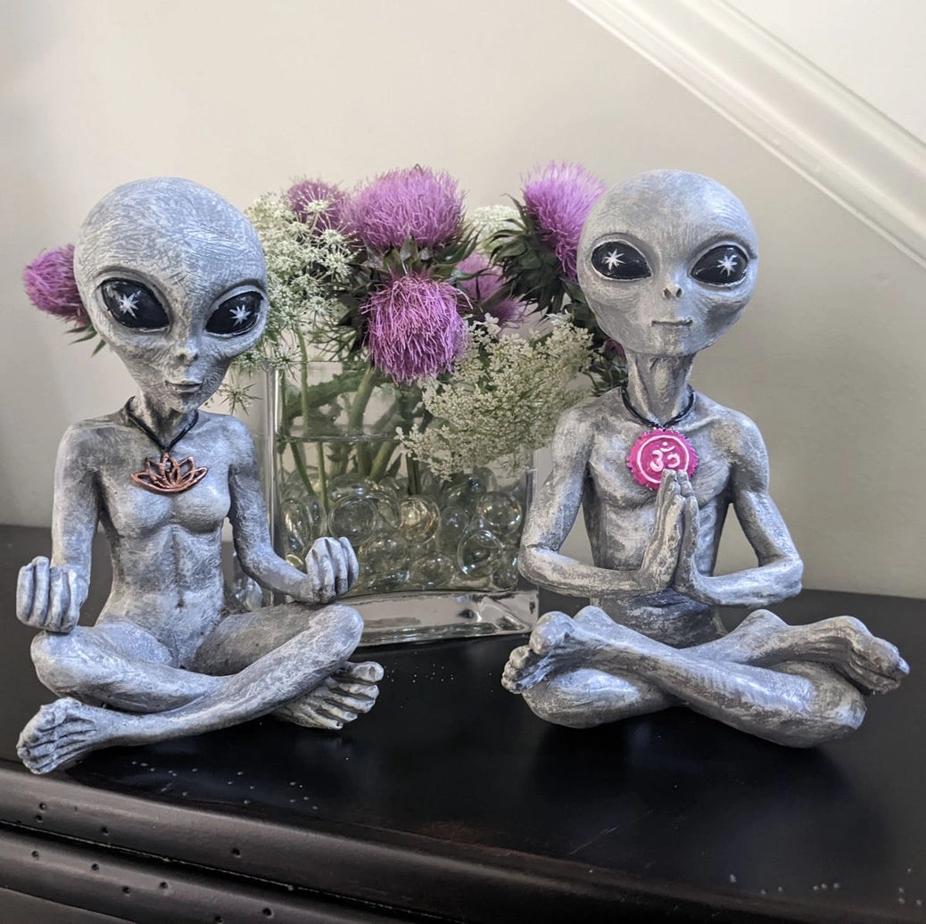 Alien Invasion "Zen and Yoga”