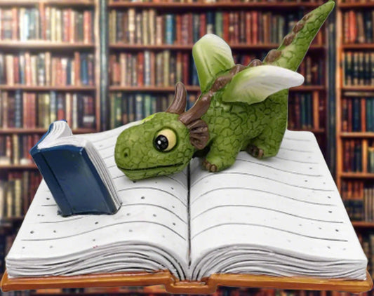 Mini Dragon Reading