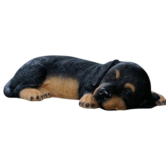 Sleeping Dachshund