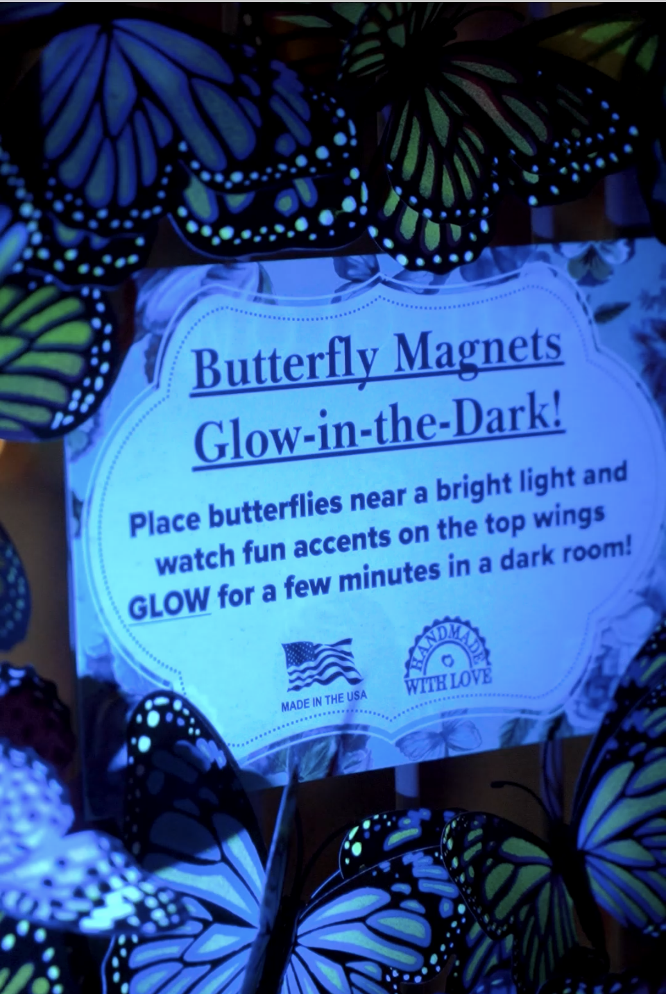 Butterfly Magnet GLOW Bundle of 100!