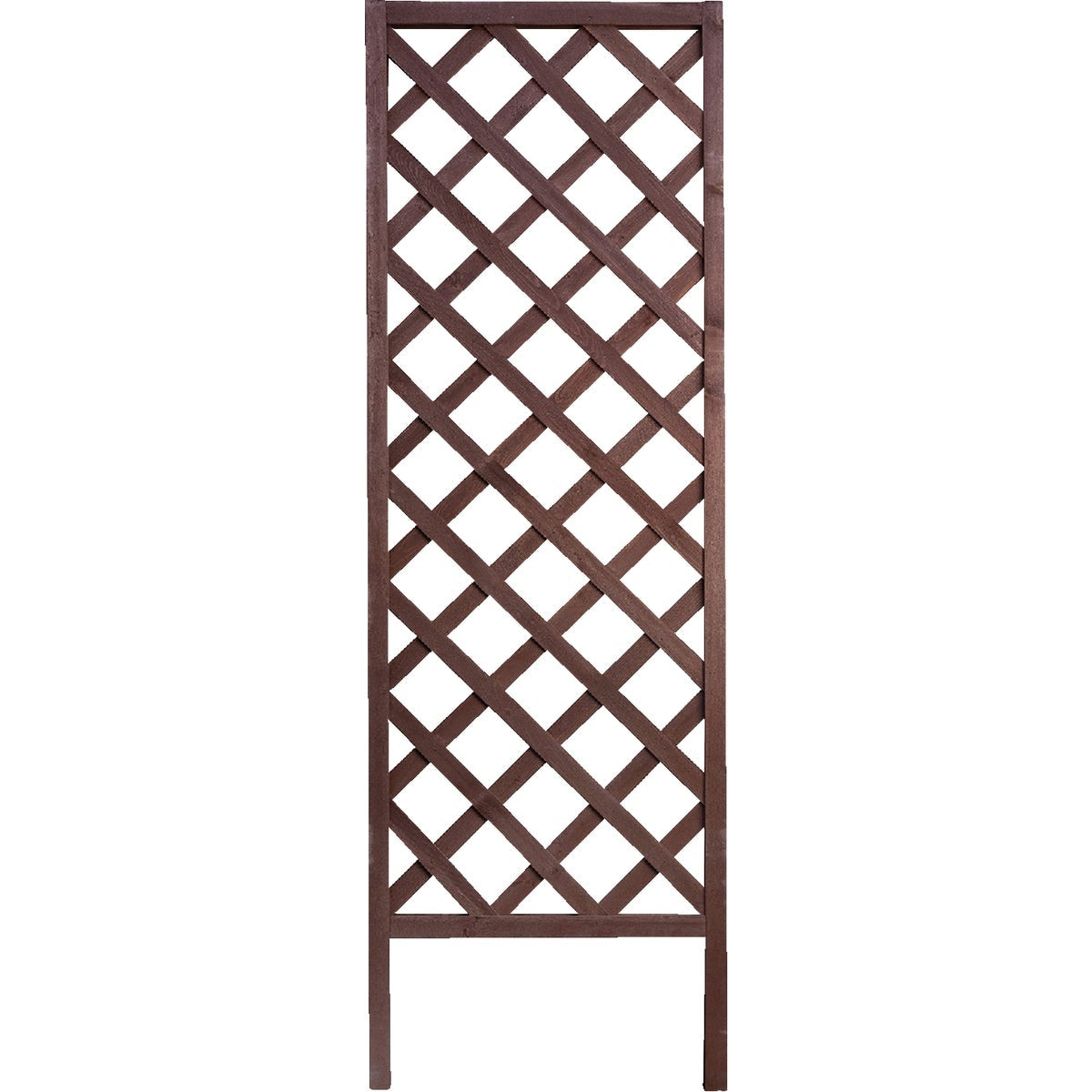 PANACEA BRN LATTICE TRELLIS