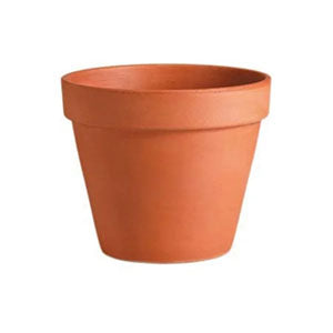 Standard Clay Pot 12.2" (31.1 CM)