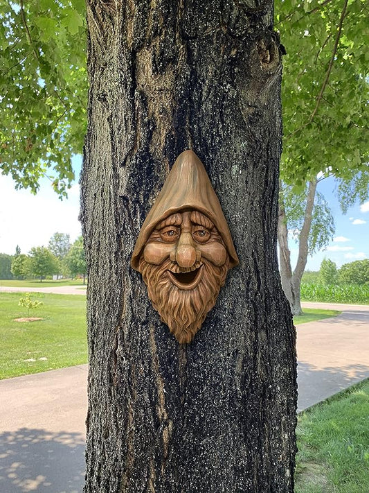 Harry Tree Face Bird House