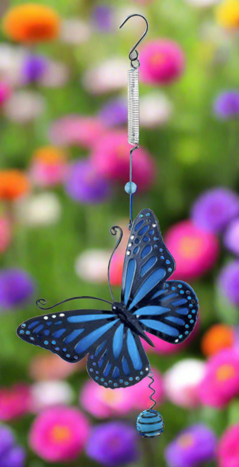 Blue Butterfly Bouncy