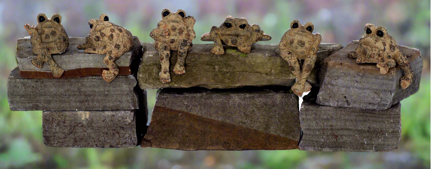 Small Toad Shelf Sitter