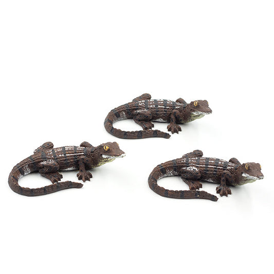 Medium Alligator
