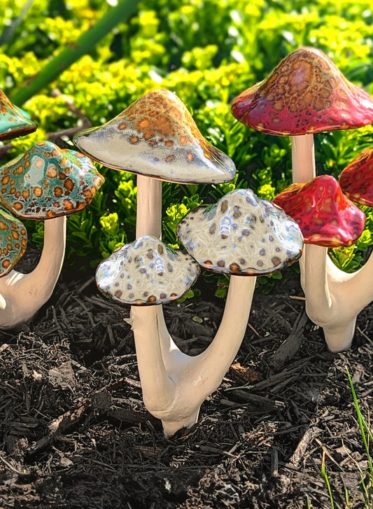 Mushroom Trios - Natural