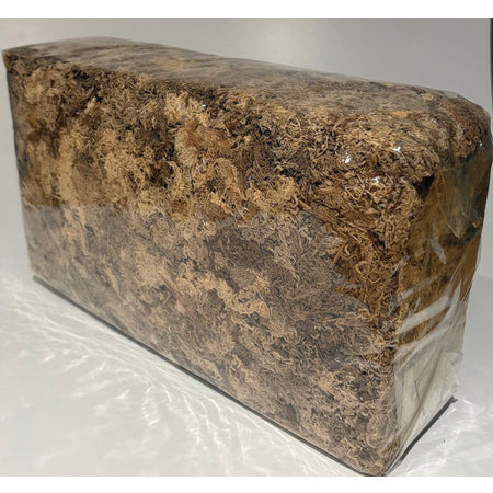 Braun Sphagnum Moss