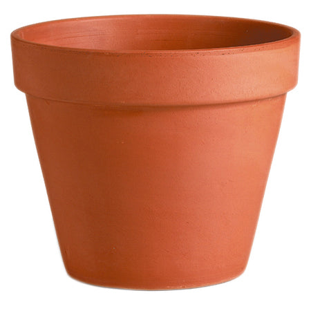 Standard Pot 6"