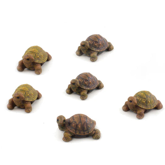 Mini Turtles 1"