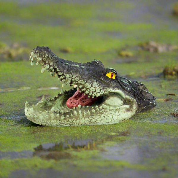 Medium Alligator Head Floater