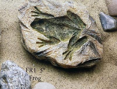 Frog Fossil Rock