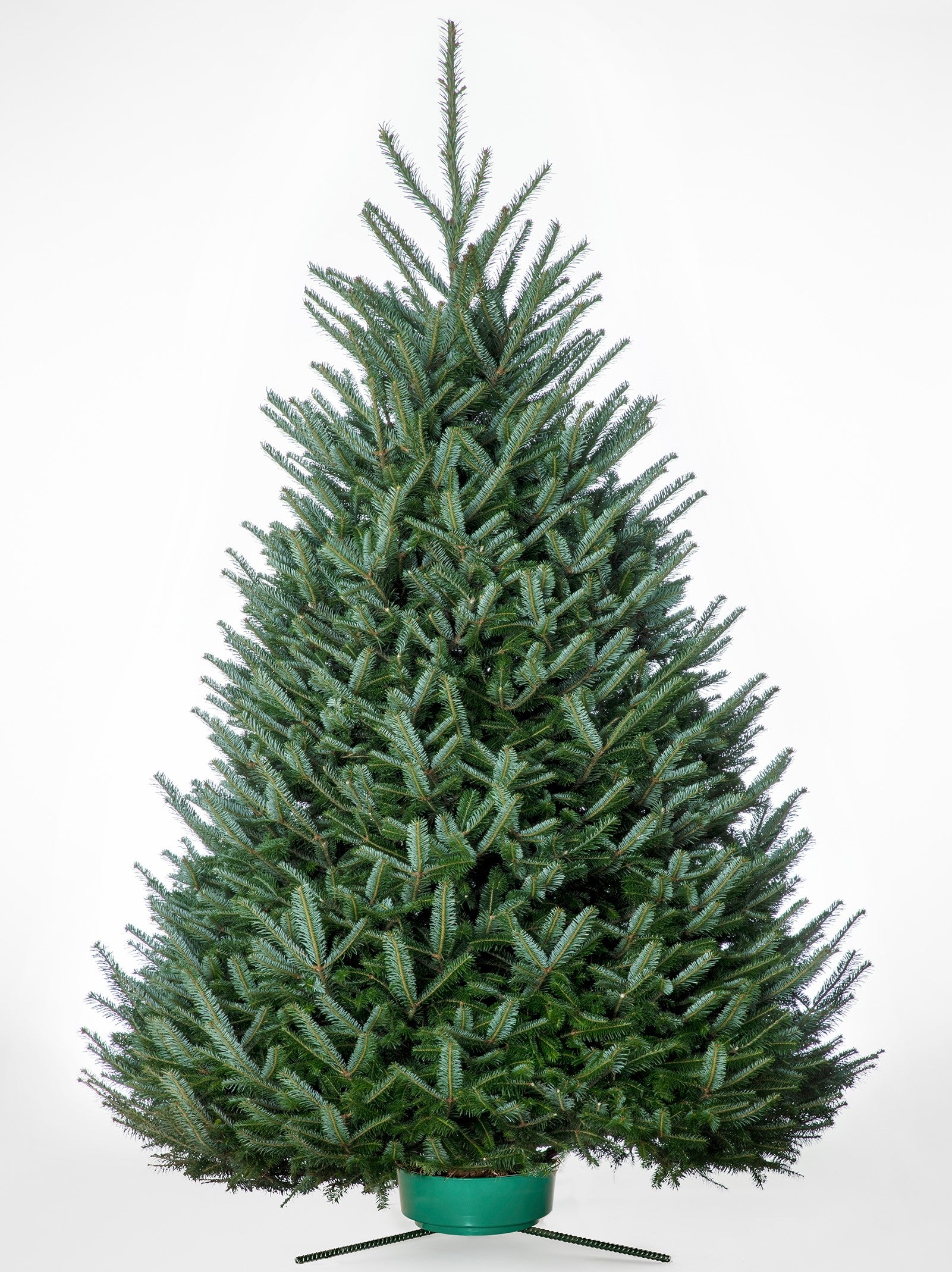 Fraser Fir Christmas Tree Fraser Fir – Woolley Edge Christmas Tree