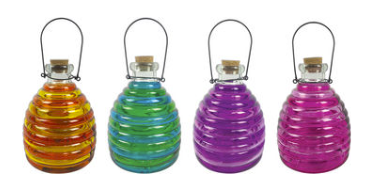 Glass Wasp Trap-4 Assorted