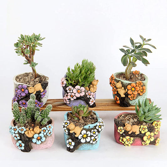 Teddy Bear Succulent Pot