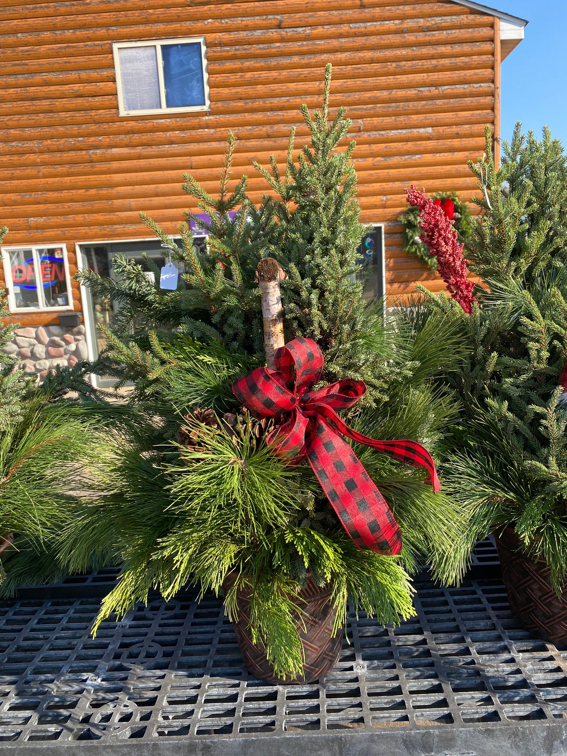 plant pots for christmas Christmas Pots – Rock Gardens