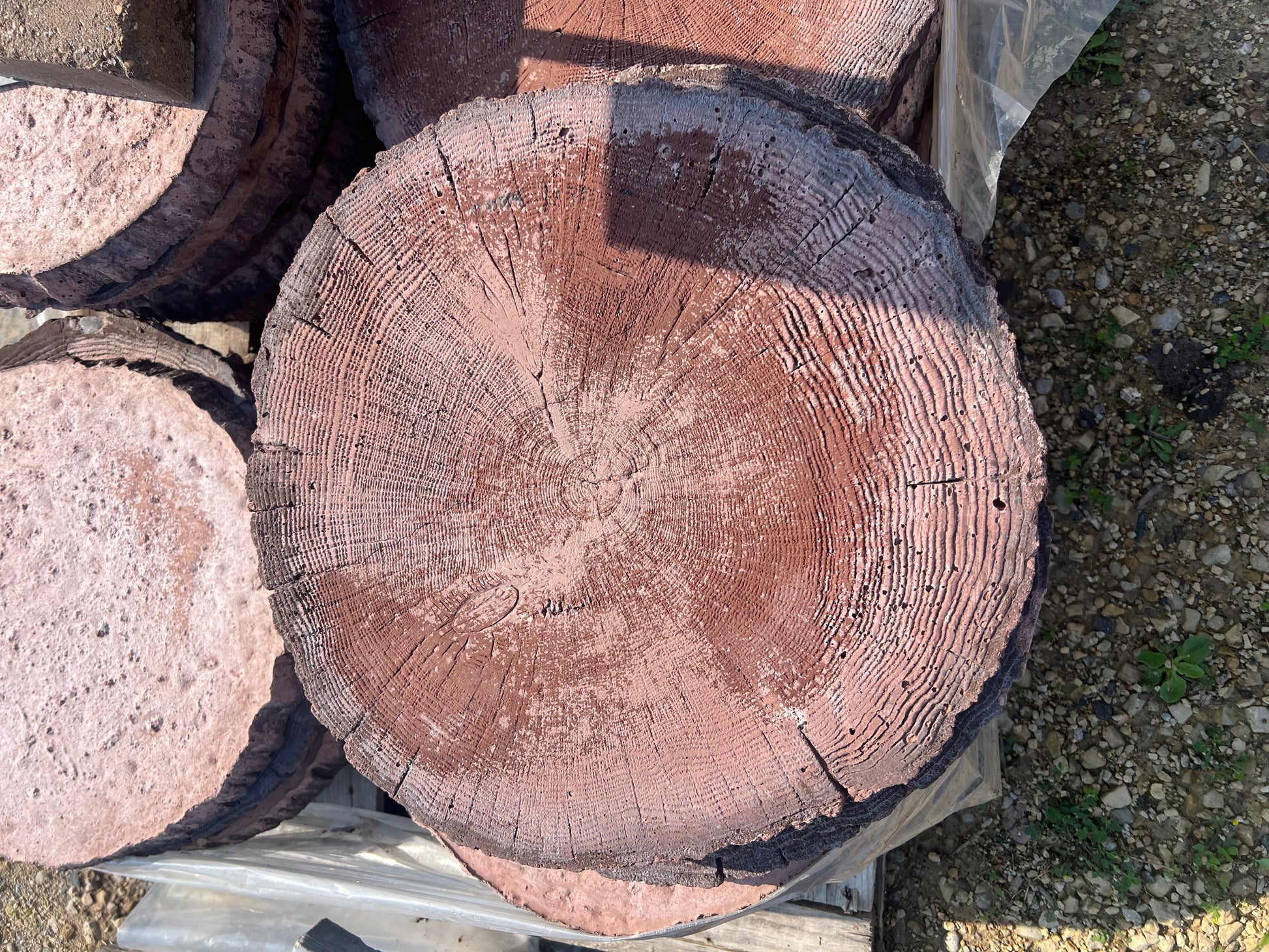 Tree Round-18