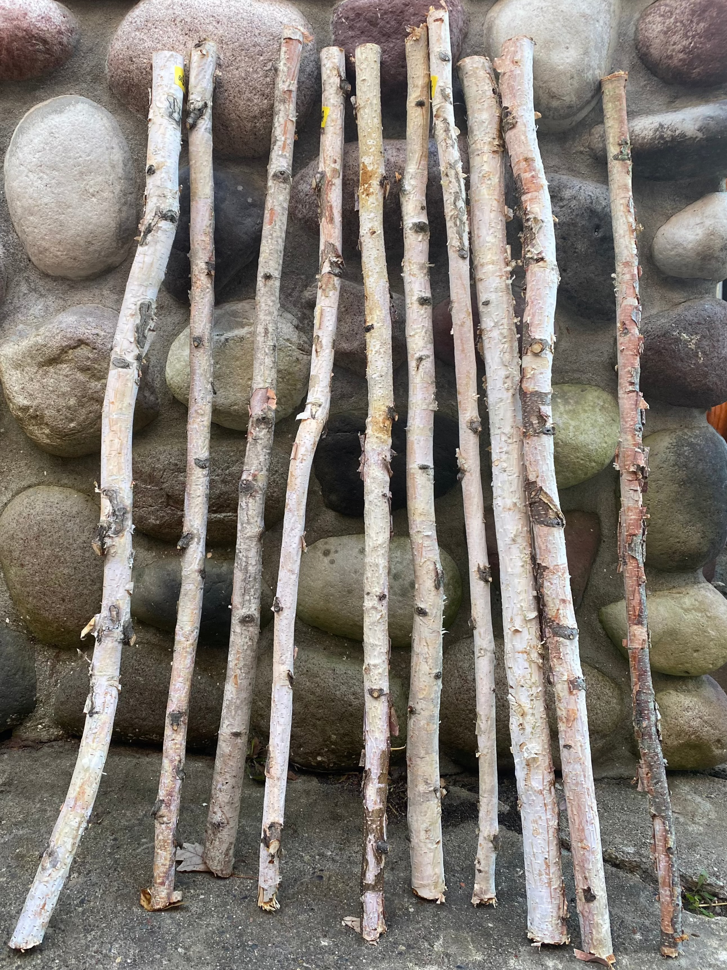 Birch Poles 3 Foot