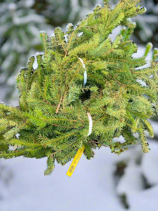 Douglas Fir Garland