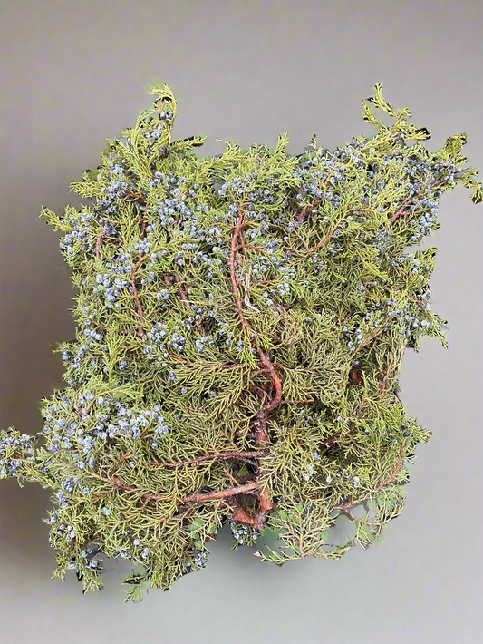 Berried Juniper Bough