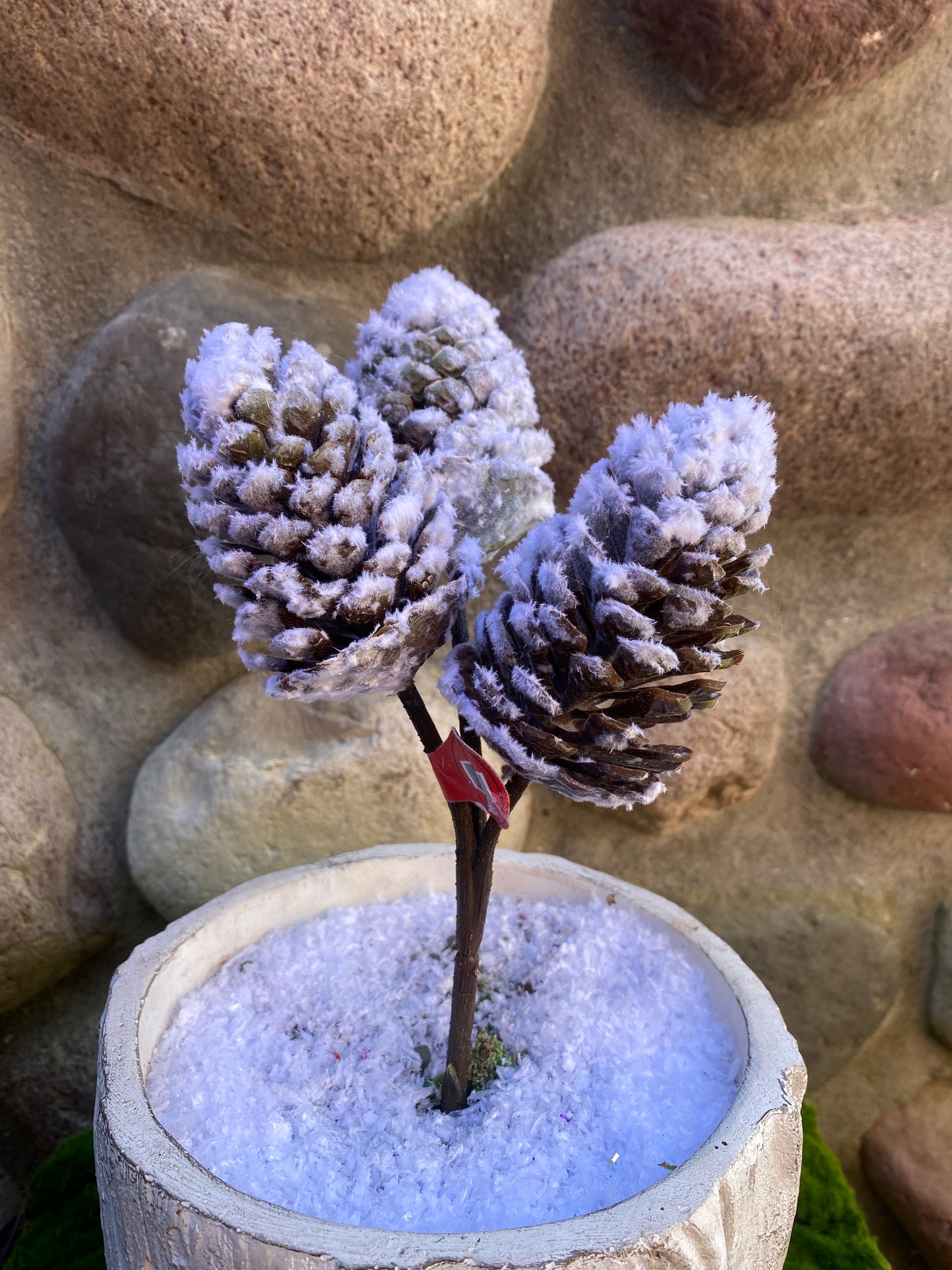 Flocked Pinecones