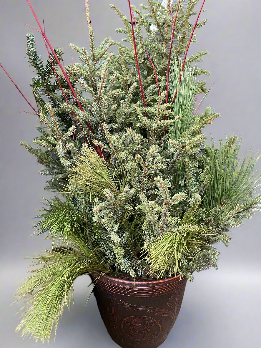 Spruce Pot 11"