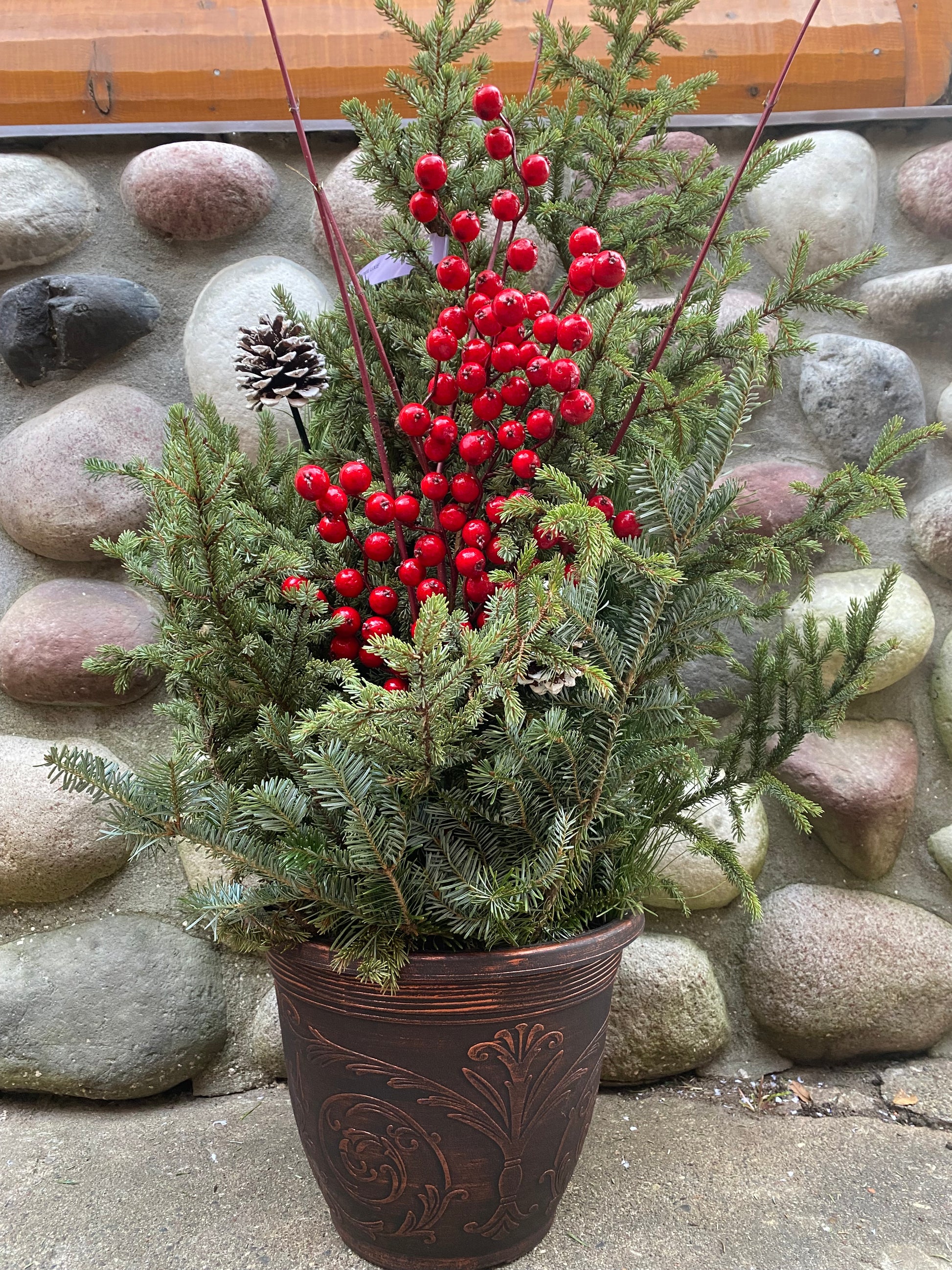 rock pots for plants Spruce Pot-Deluxe 11" – Rock Gardens