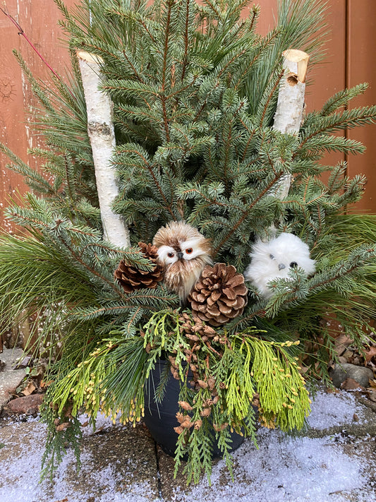 Snow Owl Designer Pot