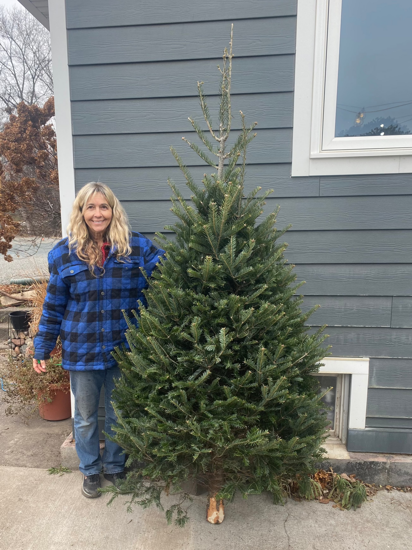 Balsam Fir 6'-7'