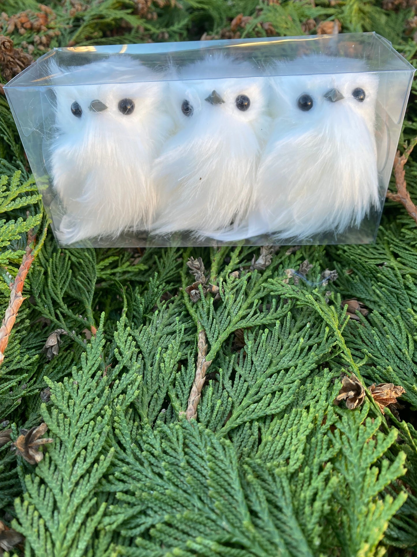 White snow owl (4 pack)