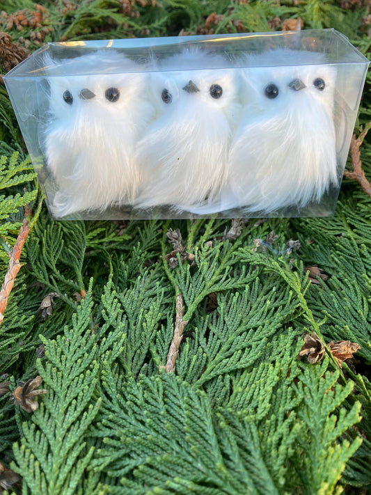 White snow owl (4 pack)