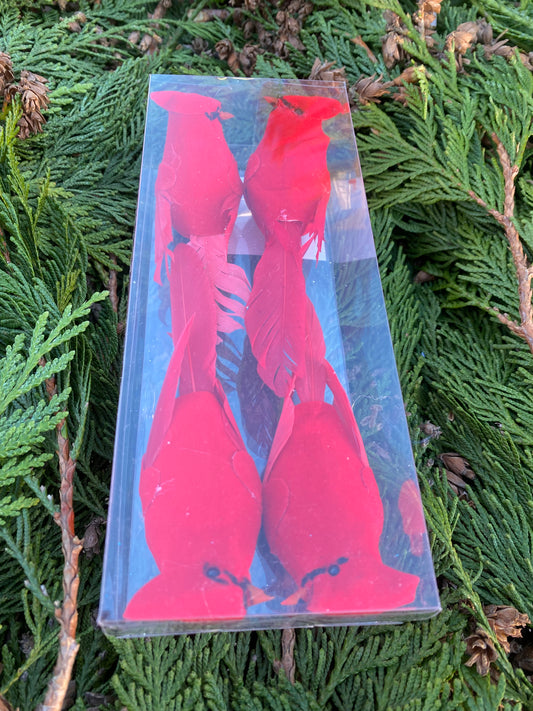 Red Cardinal clip (4 Pack)